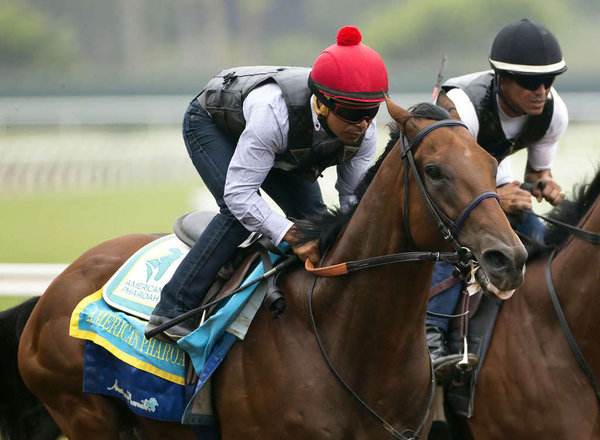 Triple Crown winner American Pharoah is a 1-5 favorite to win the Travers Stakes. He will start from the second post position Saturday at Saratoga Race Course