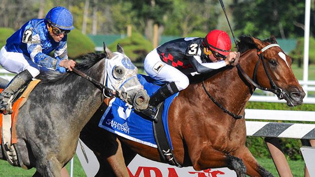 Anticipation mounts as American Pharoah ships out for Travers Stakes