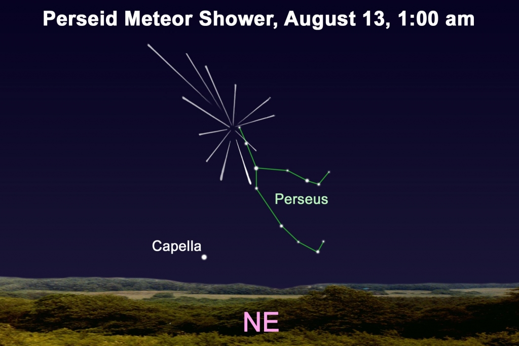 StargazerAugust10 Astronomical highlights for the coming week The Perseid meteor shower