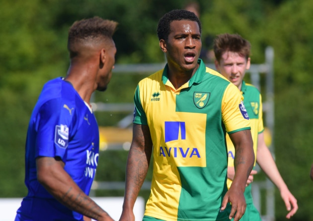 Andre Wisdom featured for Norwich City