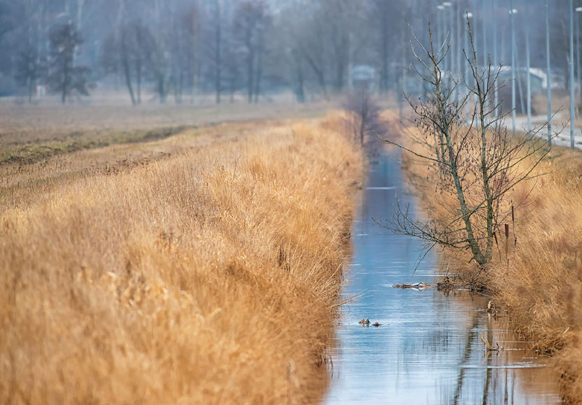 States Prep to Struggle Obama's EPA Guidelines