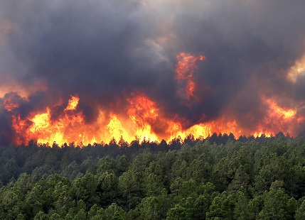 New Brunswick firefighters help battle Idaho wildfires