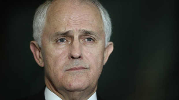 Communications Minister Malcolm Turnbull'There are some areas of ambiguity in the entitlement system but I really think … the fundamental principle is often one of common sense