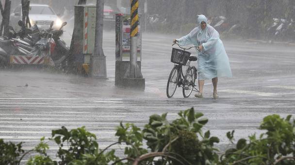 Behind fallen trees a man braves the strong winds from Typhoon Soudelor with his bicycle in Taipei