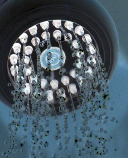 California Energy Commission has voted to set the toughest efficiency standards in the country for shower heads