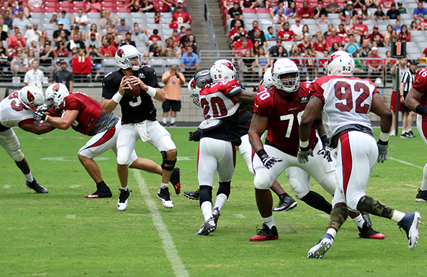 Cardinals: Michael Floyd Injured, Out About Six Weeks