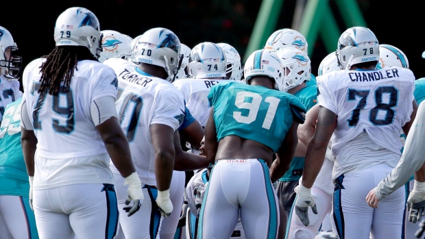 Carolina Panthers Miami Dolphins Fighting