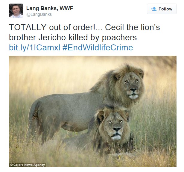 Walter Palmer and the Post-Mercy Society