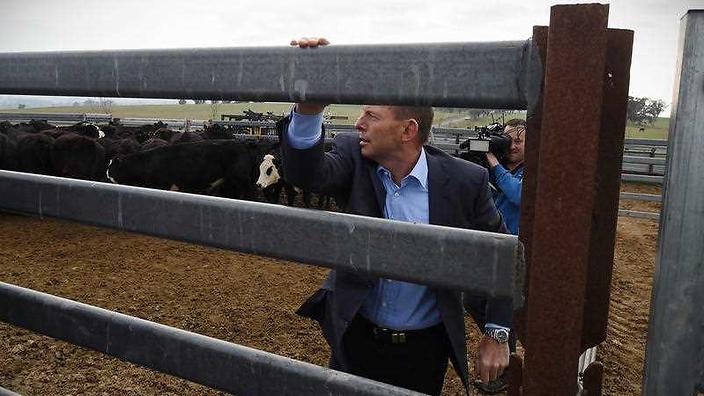 Crackdown on activist lawsuits could aid Shenhua mine