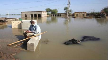 Pakistan floods kill 140 in two weeks