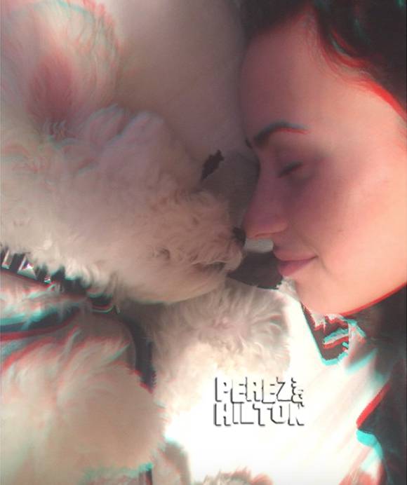 Demi Lovato shares a cute collage of her and Buddy