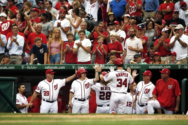 Washington Nationals Jayson Werth and Bryce Harper are