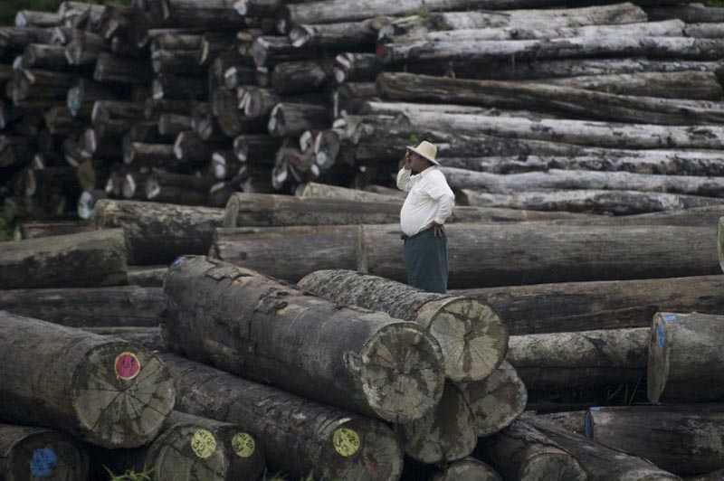 Beijing on July 23 hit out at long jail sentences handed to more than 150 Chinese nationals for illegal logging in Myanmar in the latest tremor