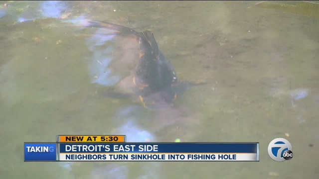 Detroit residents have turned a hole in their street into a fishing hole.                      WXYZ