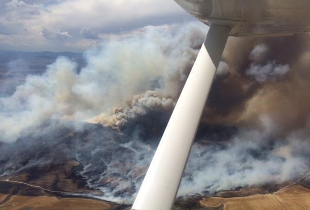 East flank of Eustis Fire as seen from the east