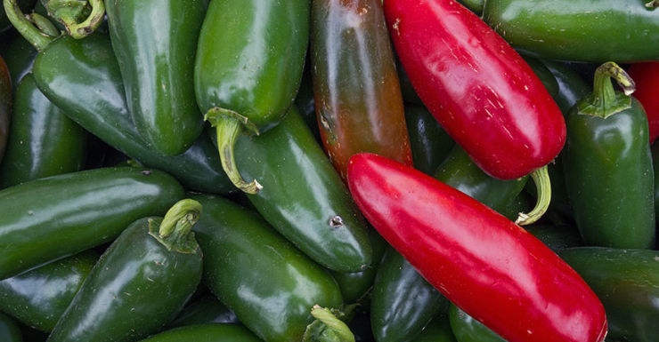 Spicy food associated with longevity