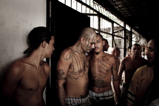 Prison gang violence leaves 14 dead in El Salvador: Official