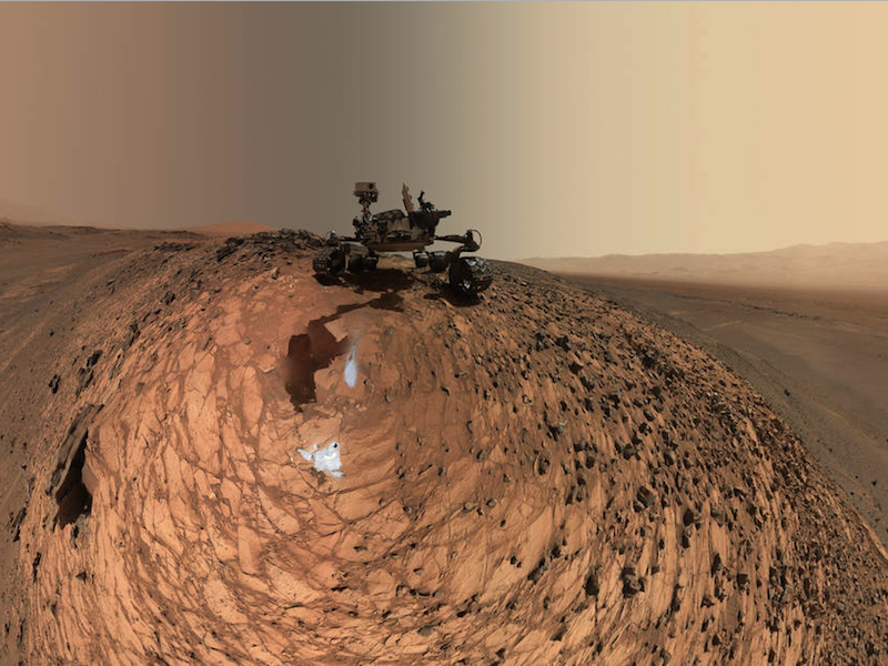 Curiosity selfie