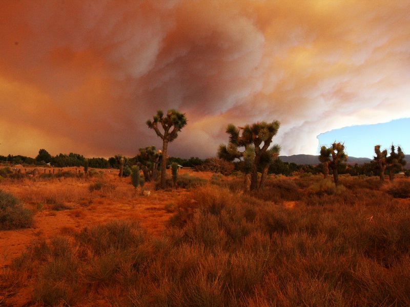 California wildfire