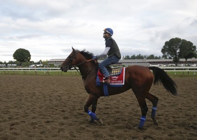 Anticipation mounts as American Pharoah ships out for Travers Stakes