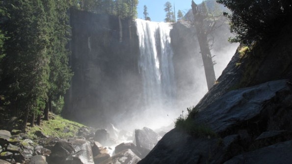 Two minors killed by tree limb falling on tent in Yosemite