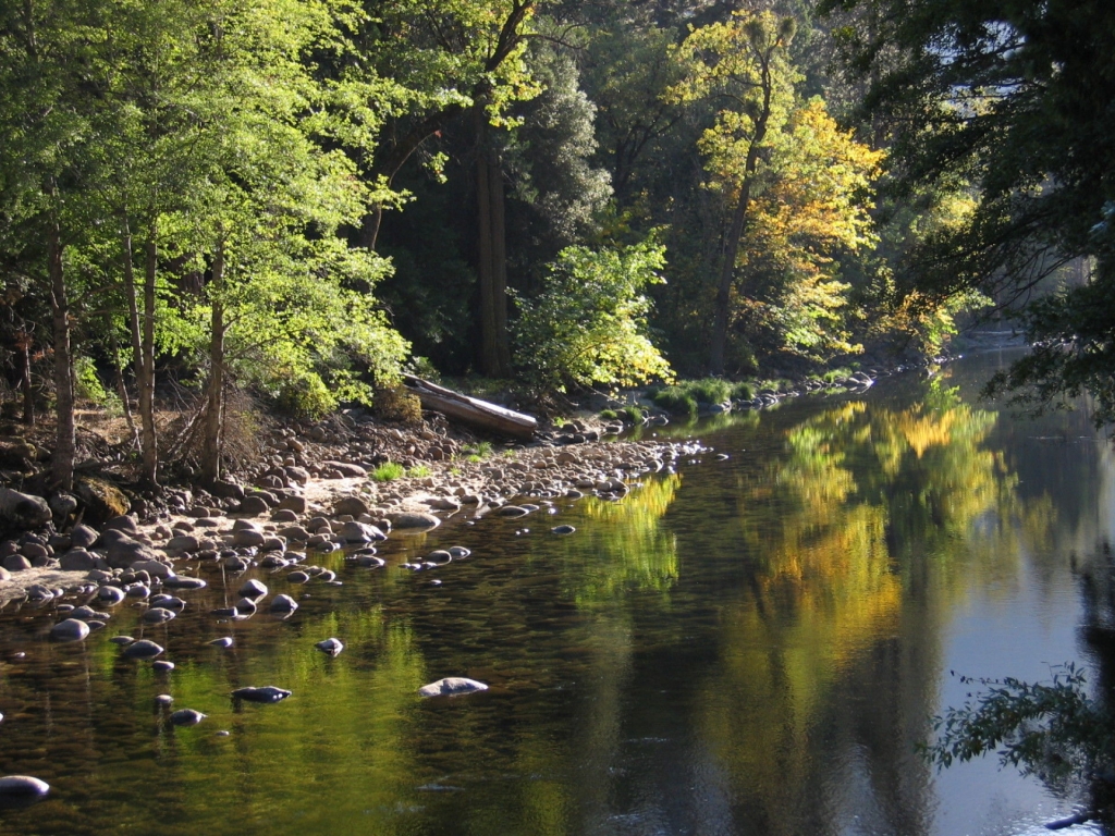 Park wilderness