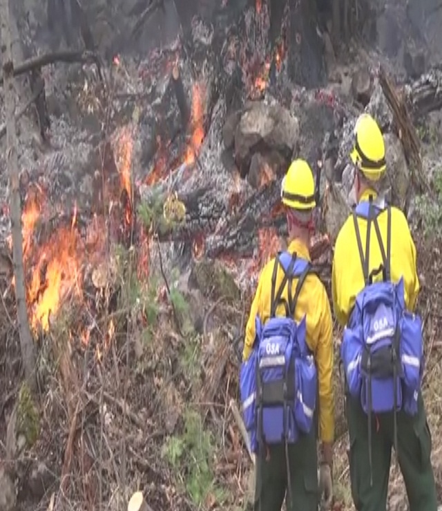 Australia N. Zealand firefighters head to US to battle blazes