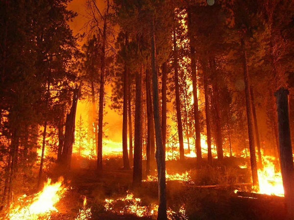 Lake County residents face down Rocky fire