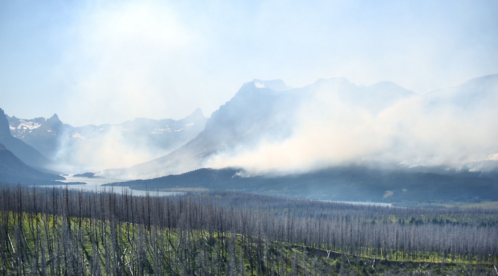 Montana fires