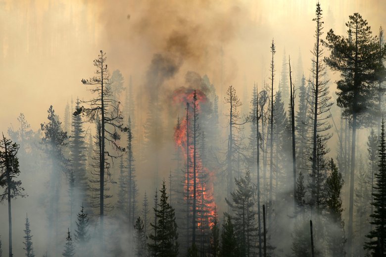 3 firefighters die in Washington wildfire