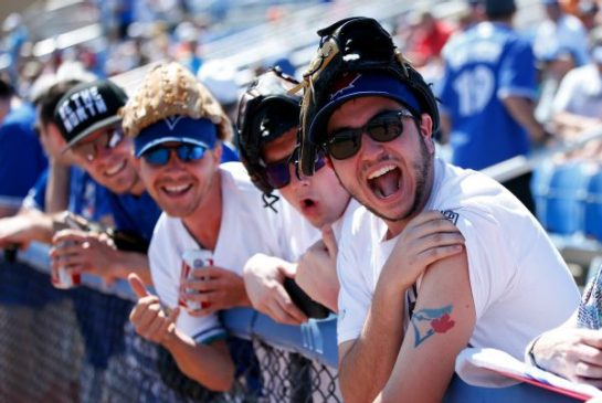 Toronto Blue Jays fans enjoying a Jays game