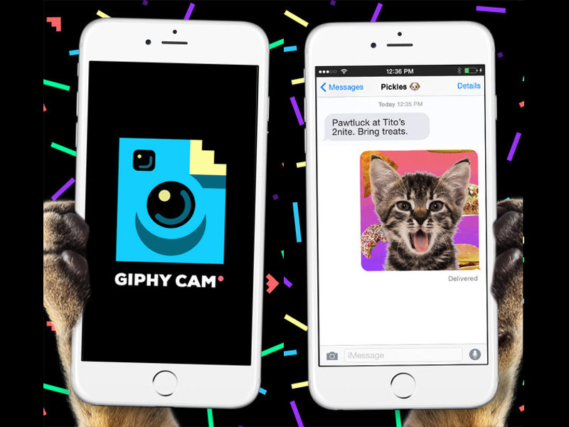 New Giphy Cam App Will Make the Internet A Buzzier Place