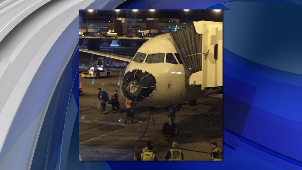 Hail damage to the Delta plane diverted to DIA