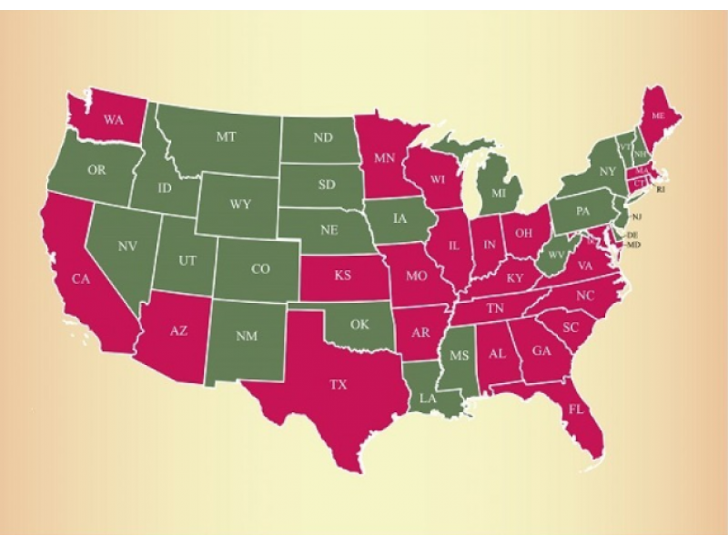 Mutated 'Super Lice&#039 Strike in Connecticut and 24 Other States