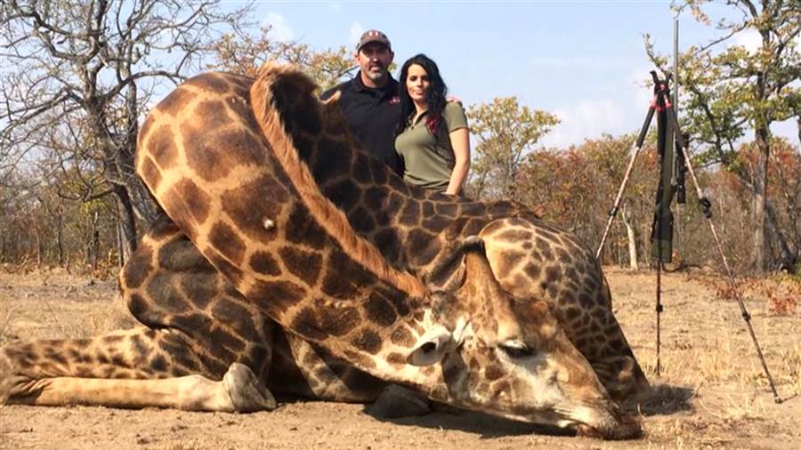 Idaho huntress Sabrina Corgatelli talks about dead giraffe