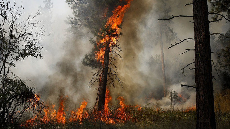 Washington Okanogan Complex Wildfire