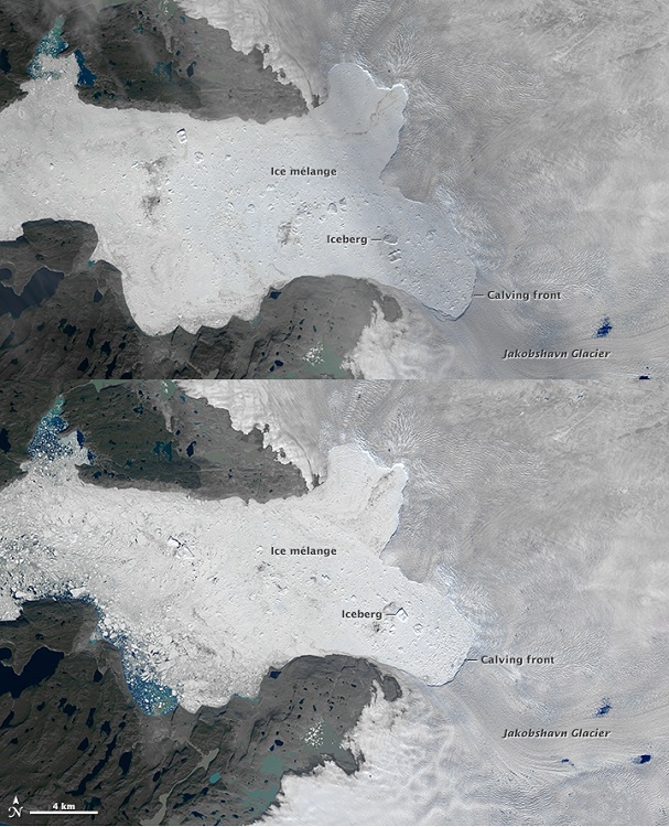 Jakobshavn Fastest Moving Glacier In The World Loses Enough Ice To Cover  PPP Focus