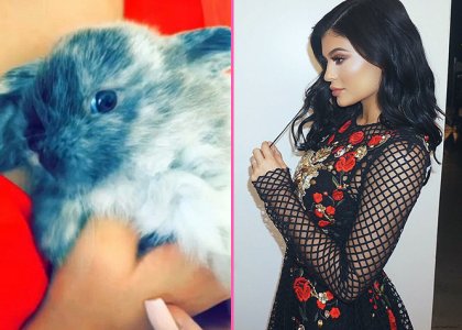 Kylie Jenner introduces new pet bunny, names it Bruce