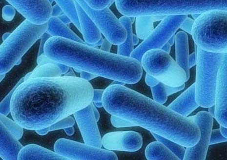 Legionella Disease outbreak