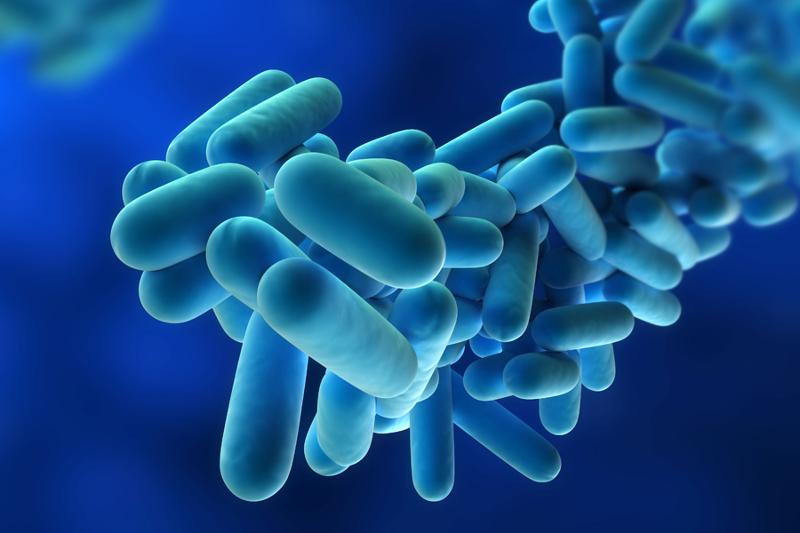 How to avoid getting Legionnaires' disease