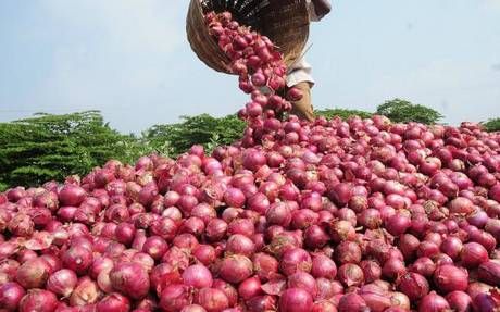 Onion price