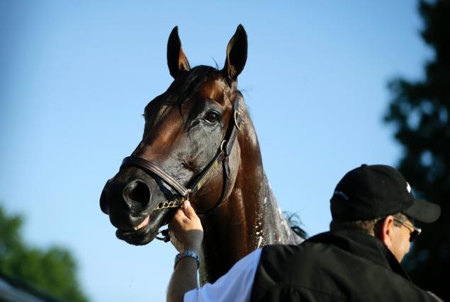 Triple Crown winner American Pharoah returns to racing Sunday at Haskell Invitational Stakes