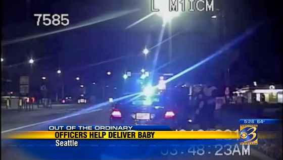 Officers help to deliver baby during traffic stop story image