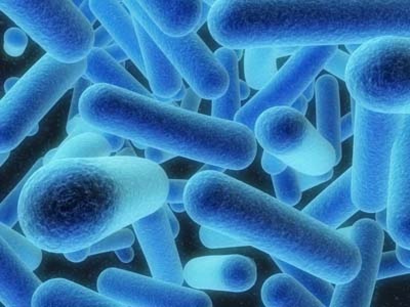 NYC inmate diagnosed with Legionnaires’ disease