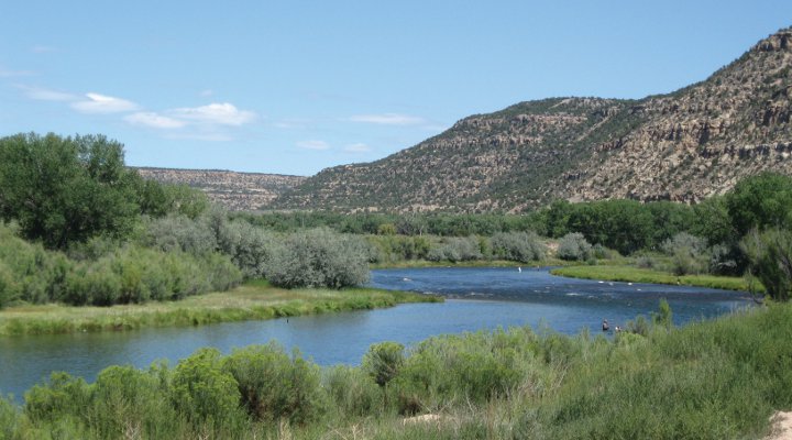 Navajo farmers suffer after Colorado mine fouls southwest rivers