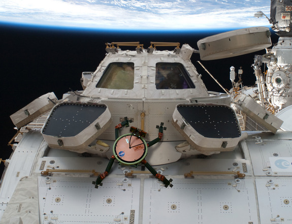 How NASA's Wall-Grabbing Gecko Grippers Work and What They're Good For