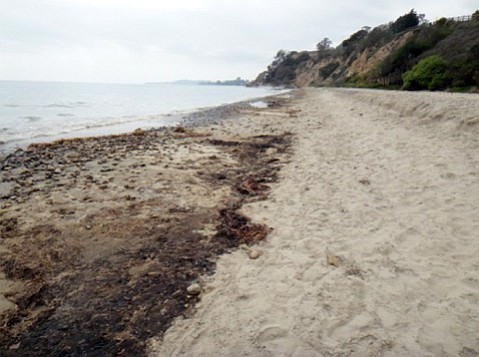 Santa Barbara County health officials at first just warned beachgoers to stay away from the tar balls