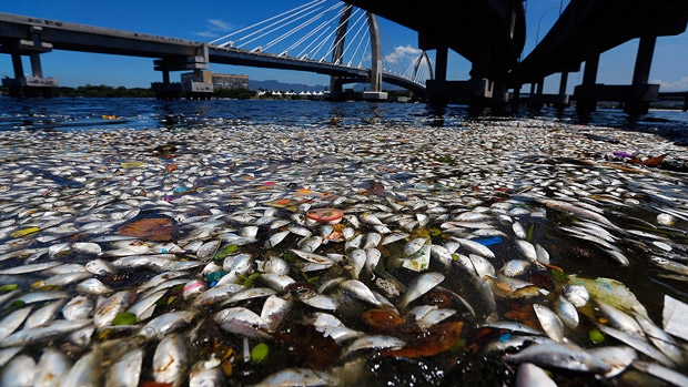 The comprehensive test of a body of water to be used for Olympic events in Rio de Janeiro found dangerously high levels of viruses and bacteria from human sewage