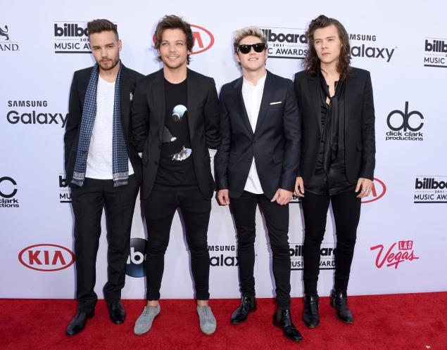 Liam Payne Louis Tomlinson Niall Horan and Harry Styles of One Direction will be working on solo projects leaving fans of the boy band in anguish