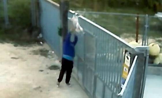 One man can be seen trying to fling the dog straight over the gate